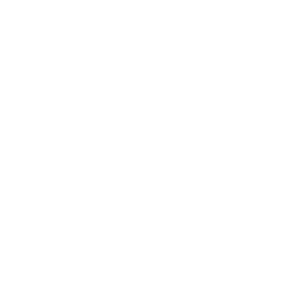 MedPal AI
