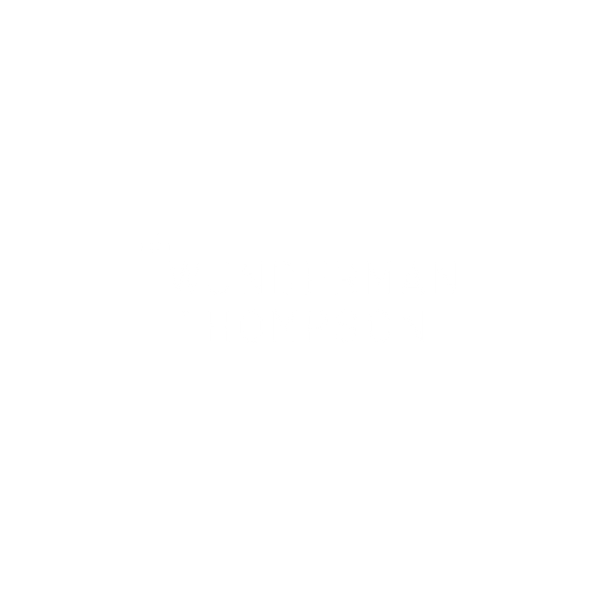 WUNDERMAN THOMPSON